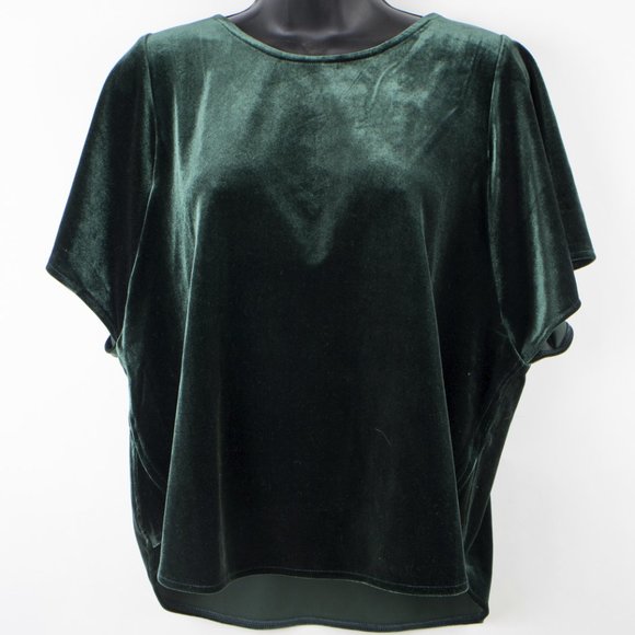 Madewell Tops - Madewell Velour Velvet Butterfly Green Top- Size M